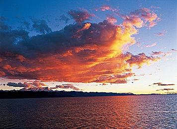 全新视角体验 《匹诺曹的谎言》第一人称MOD发布