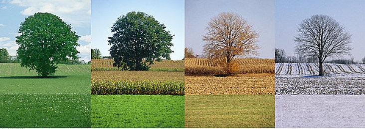 传《极品飞车22》即将公布 预告片已经制作好